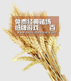 免费经典赌场纸牌游戏 - 百家乐在线