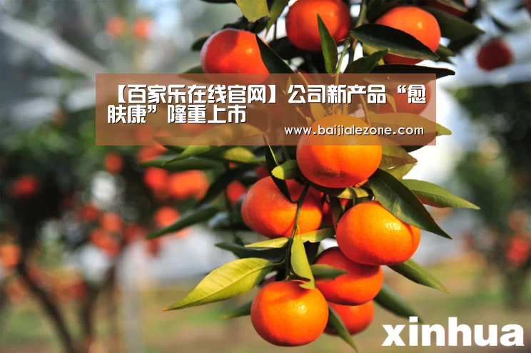 澳门百家乐