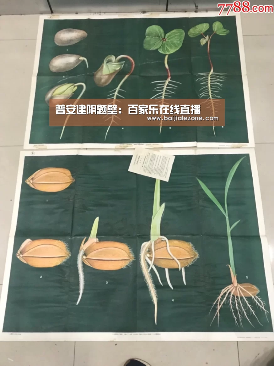 百家乐在线官网