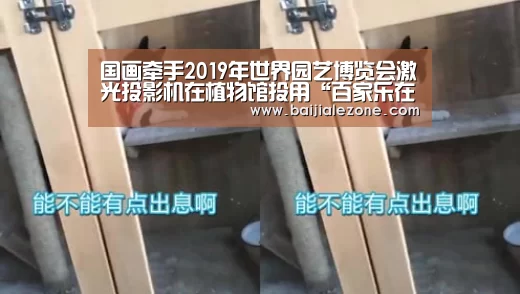 百家乐在线直播